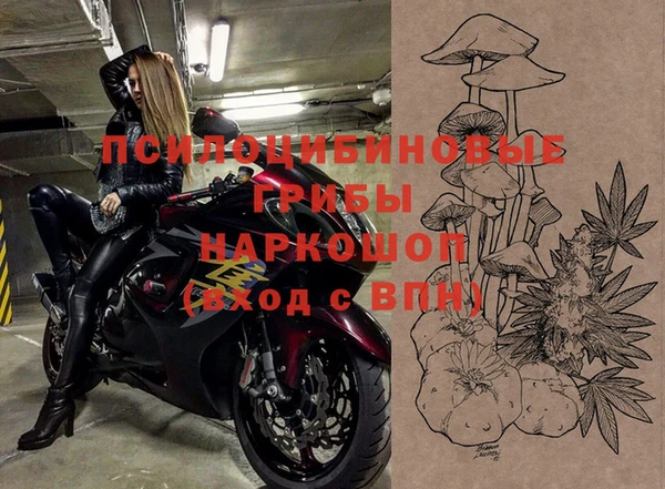 не бодяженный Зерноград