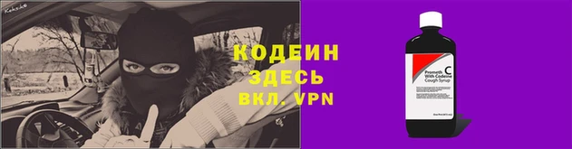 прущие грибы Данков