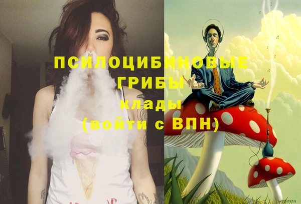 a pvp Дедовск