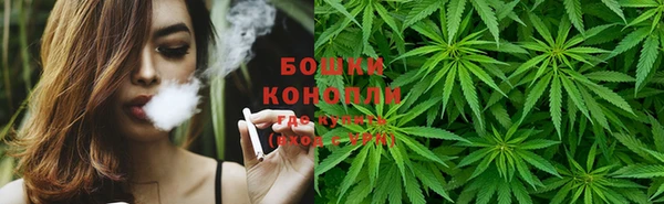 прущие крисы Зеленодольск